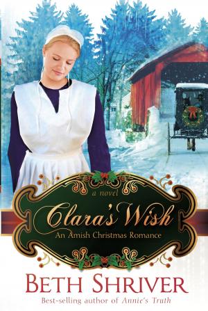 Cover of the book Clara's Wish by Linda Mintle, Ph.D.