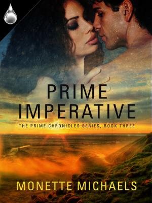 Book cover of Prime Imperative