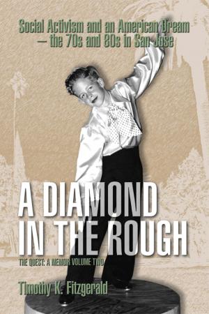 Cover of the book A Diamond in the Rough by Mark Spitzer