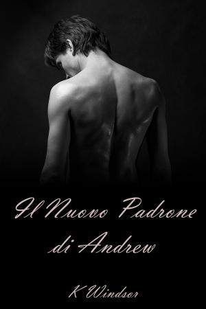 Book cover of Il Nuovo Padrone di Andrew