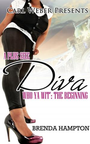 Cover of the book A Plus Size Diva by Dwayne S. Joseph
