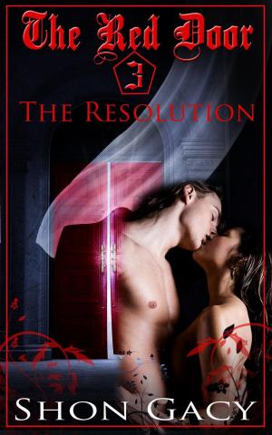 Cover of the book The Red Door 3: The Resolution by Melisa Poche