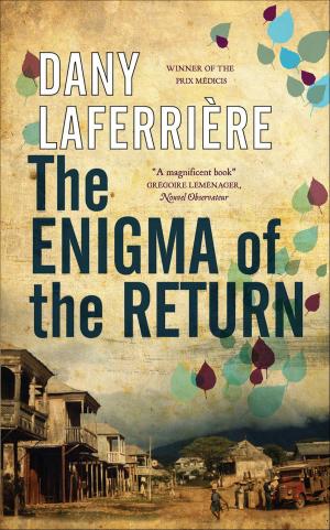Cover of the book The Enigma of the Return by Sandra Navidi