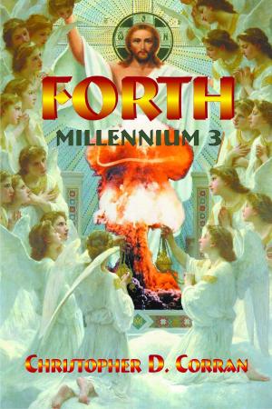 Book cover of FORTH-Millennium 3