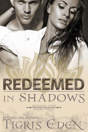 Book cover of Redeemed In Shadows