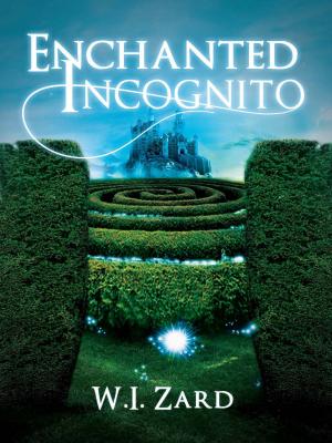 Cover of the book Enchanted Incognito by 枯野瑛