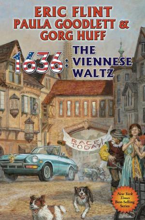 Cover of the book 1636: The Viennese Waltz by David Weber
