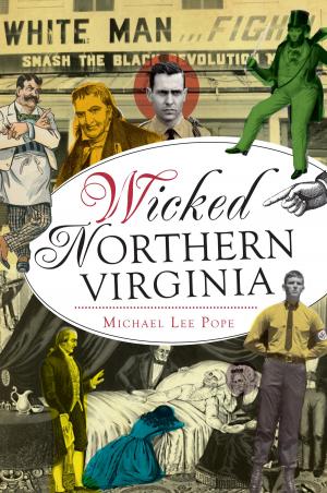 Cover of the book Wicked Northern Virginia by Stephen C. Johnson