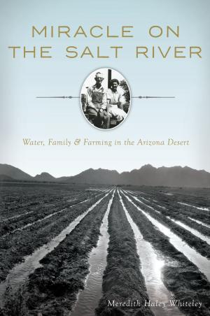 Cover of the book Miracle on the Salt River by Ruth Burke, Don Holbrook