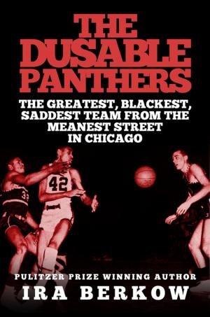 Book cover of The DuSable Panthers