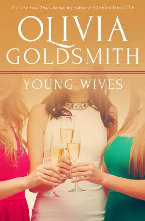 Cover of the book Young Wives by B. R. Holt