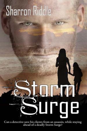 Cover of the book Storm Surge by Iain Andrews