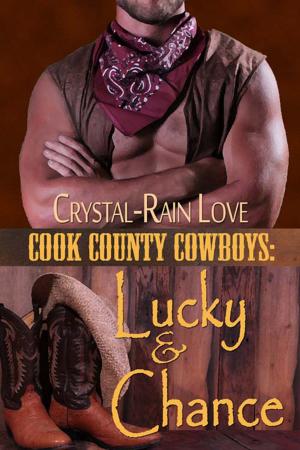 Cover of the book Cook County Cowboys: Lucky & Chance by Christine DePetrillo