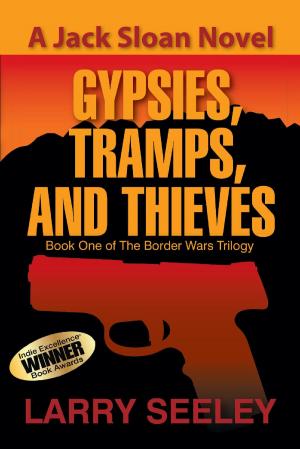 Cover of the book Gypsies, Tramps, and Thieves by Anne Maree  Spencer
