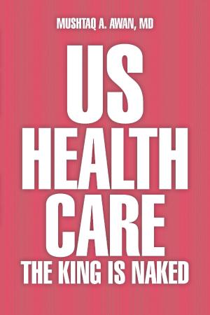 Cover of the book US Health Care by JohnF. Maraglino