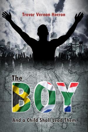 Cover of the book The Boy by Mlungisi Biyela, Wendy Biyela-Khanyile