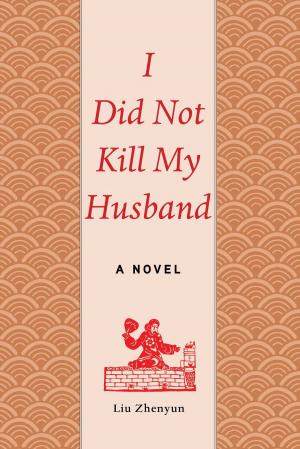 Book cover of I Did Not Kill My Husband
