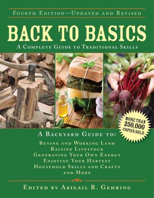Cover of the book Back to Basics by Michael Benfante, Dave Hollander
