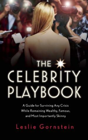 Cover of the book The Celebrity Playbook by Garth Sundem, Jan Krieger, Kristi Pikiewicz