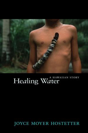 Cover of the book Healing Water by Sandra Neil Wallace, Rich Wallace