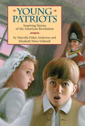 Book cover of Young Patriots