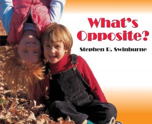 Cover of the book What's Opposite? by Margriet Ruurs