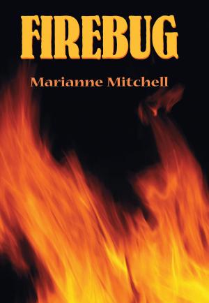 Cover of the book Firebug by Monica Gunning