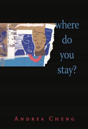 Book cover of Where Do You Stay?