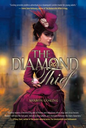 Cover of the book The Diamond Thief by Elizabeth Duivenvoorde