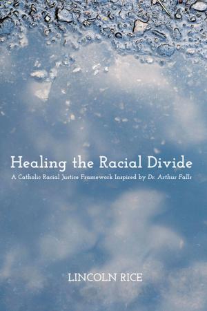 Cover of the book Healing the Racial Divide by Walter Brueggemann
