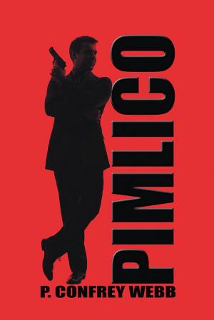 Cover of the book PIMLICO by Gabriel Tiamo