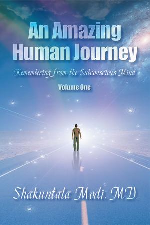 Cover of the book An Amazing Human Journey by Madeleine Bellmond