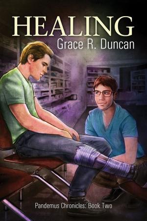 Cover of the book Healing by Erin Quinn