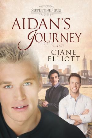 Cover of the book Aidan's Journey by Catt Ford