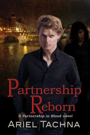 Cover of the book Partnership Reborn by Megan Chance, Robyn Chance
