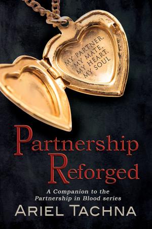 Cover of the book Partnership Reforged by Shira Anthony