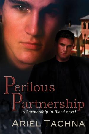 Cover of the book Perilous Partnership by Lauren Burd