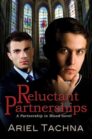 Cover of the book Reluctant Partnerships by M.D. Grimm