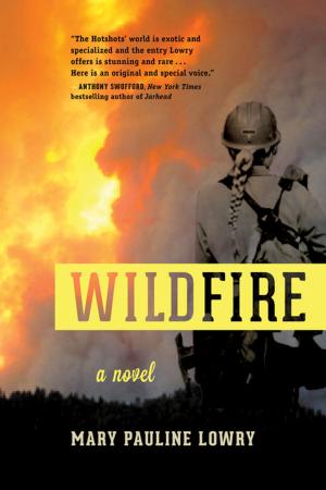 Cover of the book Wildfire by Eric C. Lindstrom