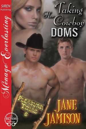Book cover of Taking Her Cowboy Doms