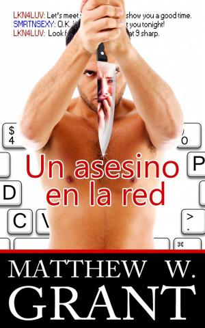 bigCover of the book Un Asesino En La Red by 