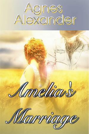 Cover of the book Amelia's Marriage by Annette Snyder