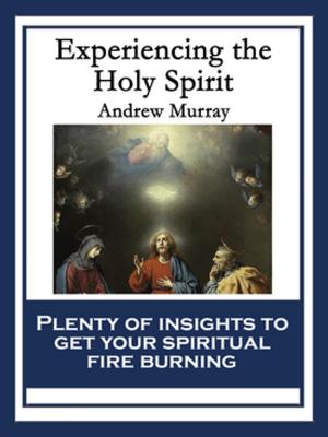 Cover of the book Experiencing the Holy Spirit by George Parker Bidder