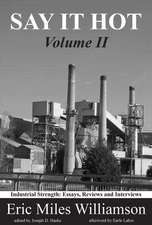 Cover of the book Say It Hot, Volume II: Industrial Strength by Joseph D Haske