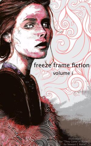 Book cover of freeze frame fiction, vol i