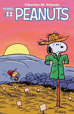 Book cover of Peanuts #22