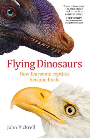 Cover of the book Flying Dinosaurs by Anne-marie Boxall, James Gillespie