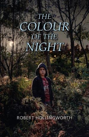 Cover of the book The Colour of the Night by Ibtihal Samarayi