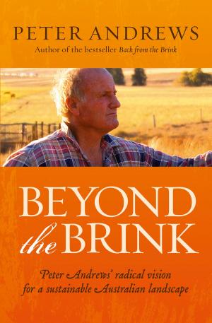 Book cover of Beyond the Brink