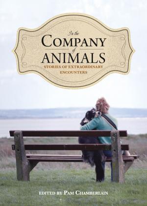 Cover of the book In the Company of Animals by Graham Steele